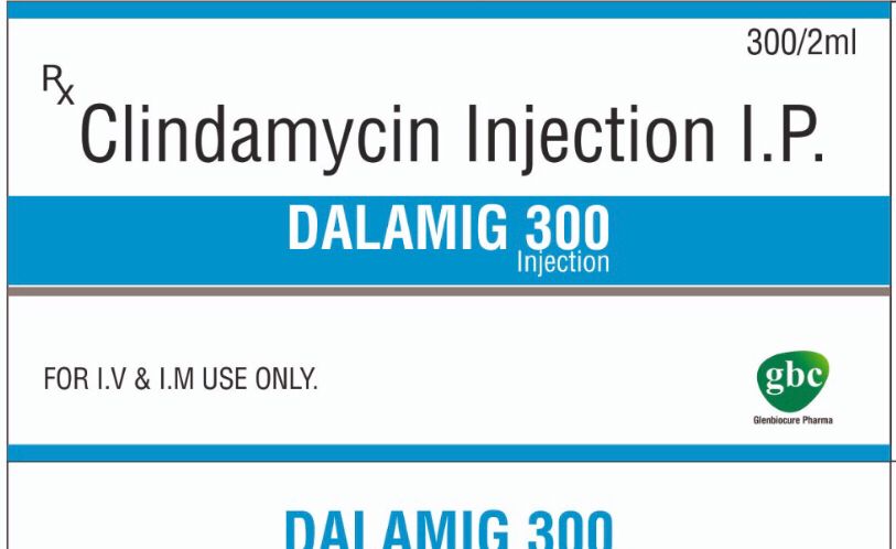 Dalamig 300 Injection